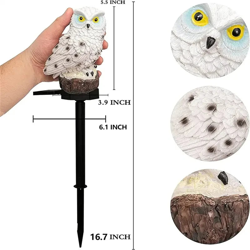 Solar Owl Ground Light