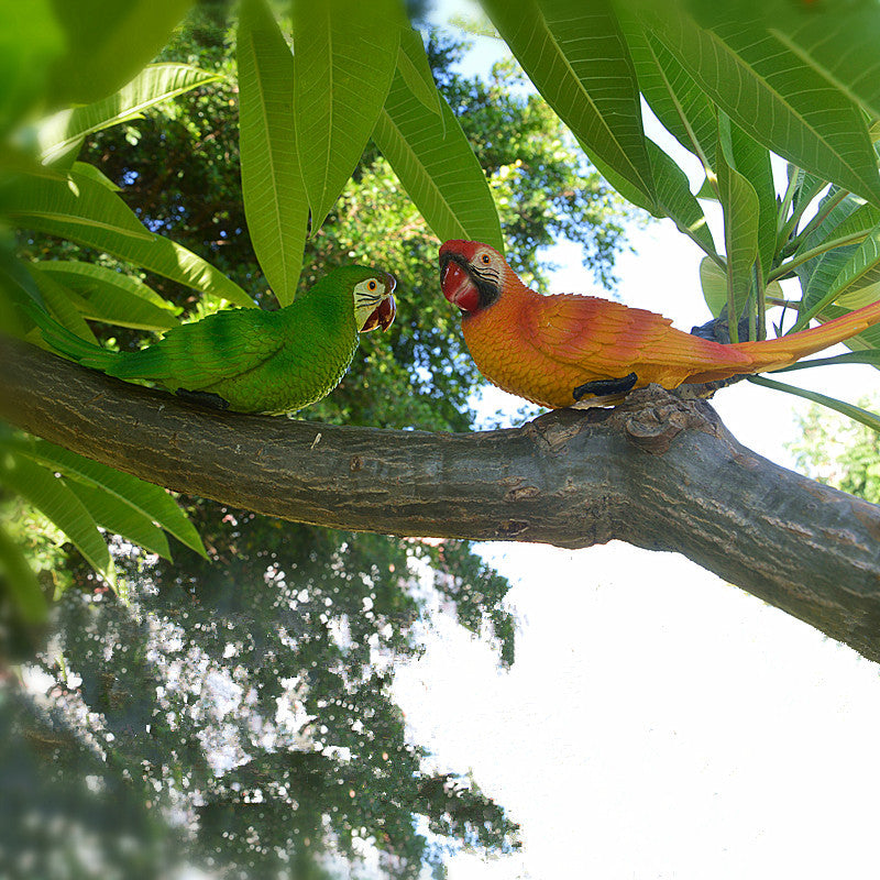 Resin Parrot Statue