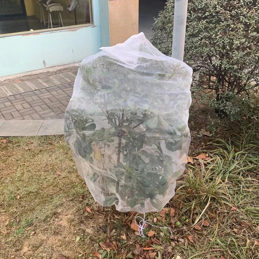 Plant Protection Bag